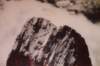 dsc02758_small.jpg