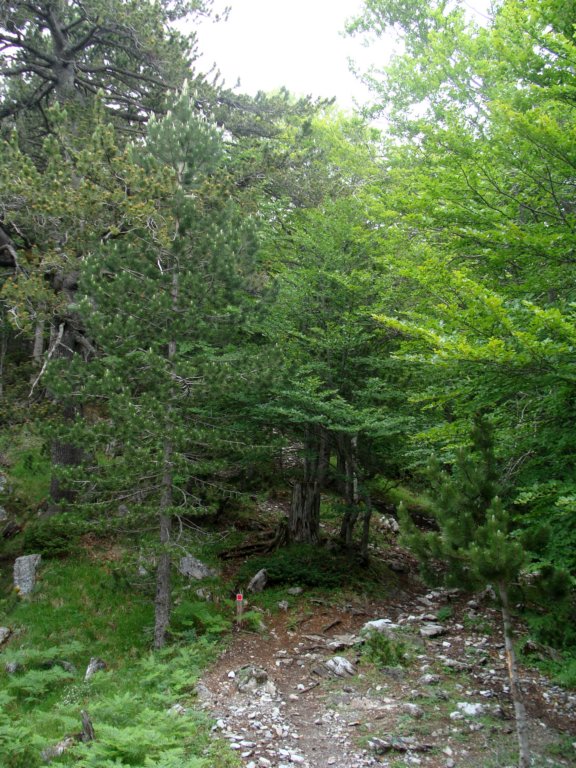 norayr2254.jpg
