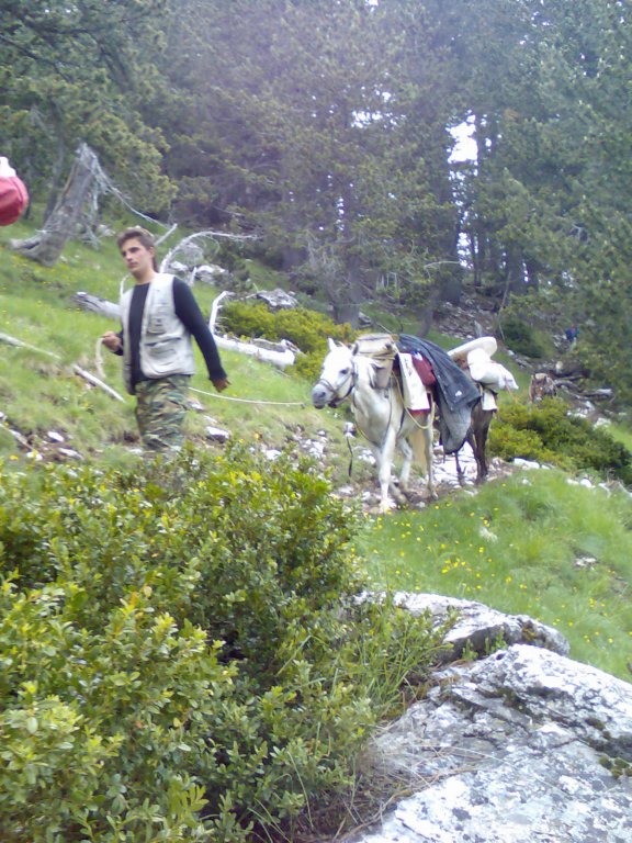 norayr2270_stathis048.jpg