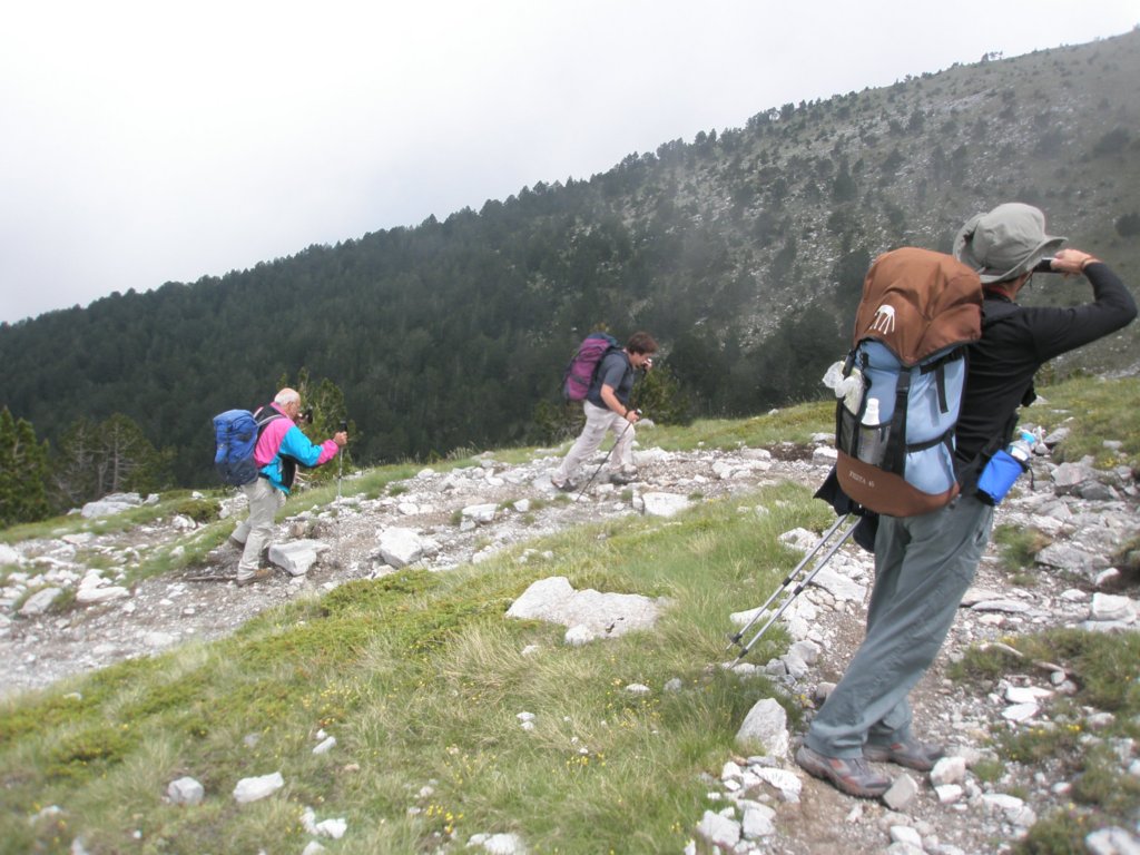 norayr2276_yannis60982.jpg