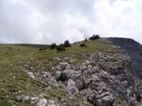 norayr2279_small.jpg