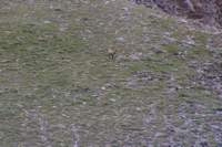 norayr2293_matteo0503_small.jpg