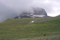 norayr2294_matteo0506_small.jpg