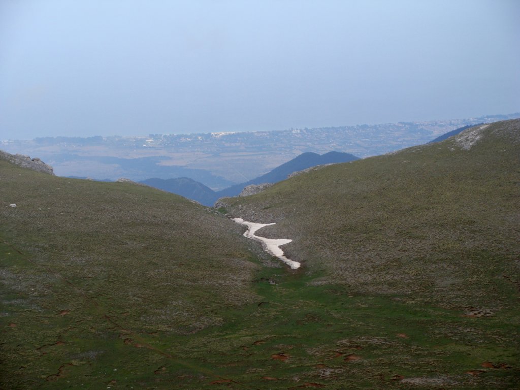 norayr2298.jpg