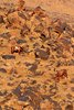 048_AU-031