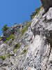 DSC00495